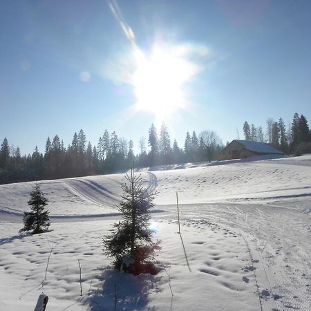 Etoile Des Neiges Piscine Spa Sauna Metabief Exterior photo